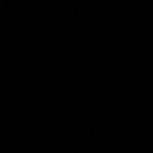 Meet your Posher, Esteffany